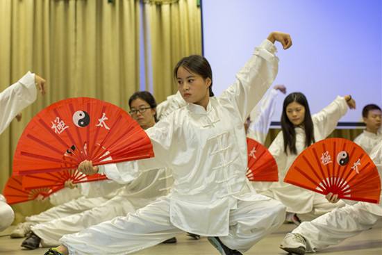 tai-chi-fan