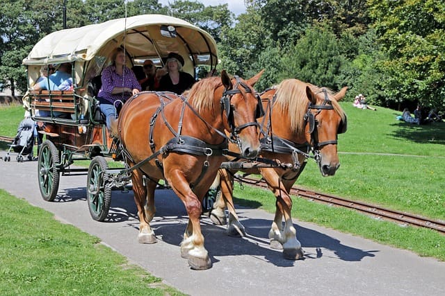 horse-drawn-cart-4775453-640